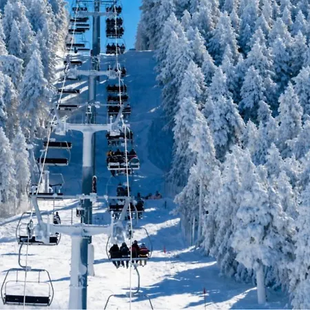 Snow Appartement *